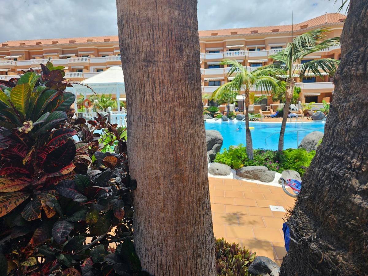 Tenerife Holidays Deluxe, Royal Garden, Las Americas Playa de las Americas  Exterior photo